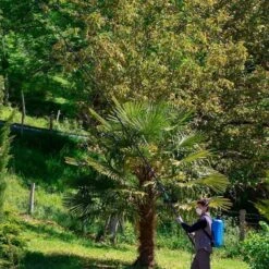 Matabi Sprayer Telescopic Extendable Lance 5.4 Mtr 83540915